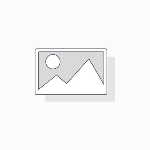 Cisco N93-48Y-SSK9 Storage Services Licence for Nexus 9300, FCoE and FC, All 48 Ports